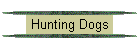 Hunting Dogs