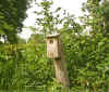 Bird Watching.jpg (152781 bytes)