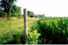 Horse Trails.jpg (101684 bytes)